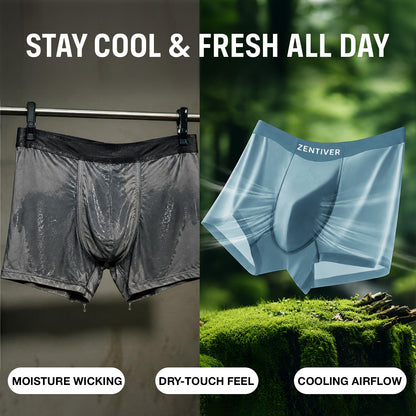 SUMMER SALE 60% OFF ❄️ ZENTIVER™ Premium Cooling SatinSilk Leakproof Trunk