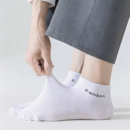 ZENTIVER™ Men's Bamboo Fiber Anti-Bacterial Socks